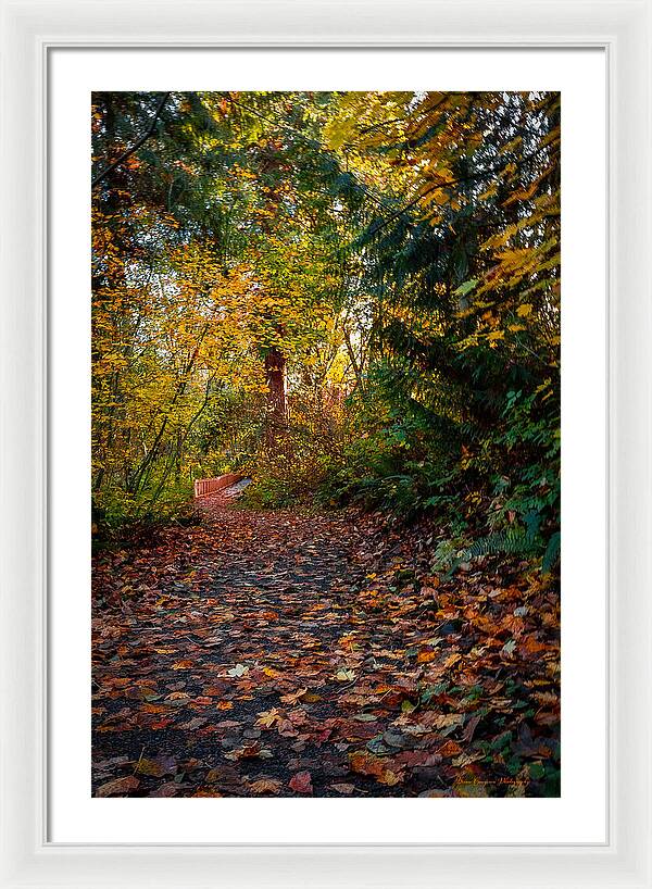 Walk in the park - Framed Print