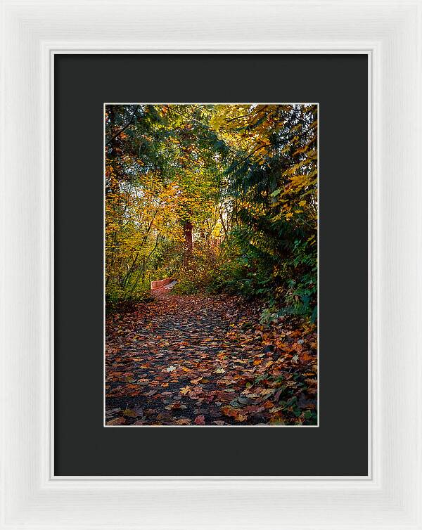 Walk in the park - Framed Print