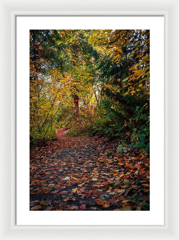 Walk in the park - Framed Print