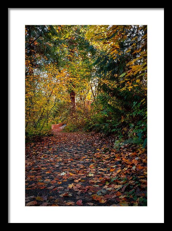 Walk in the park - Framed Print