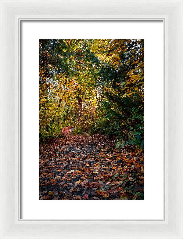 Walk in the park - Framed Print