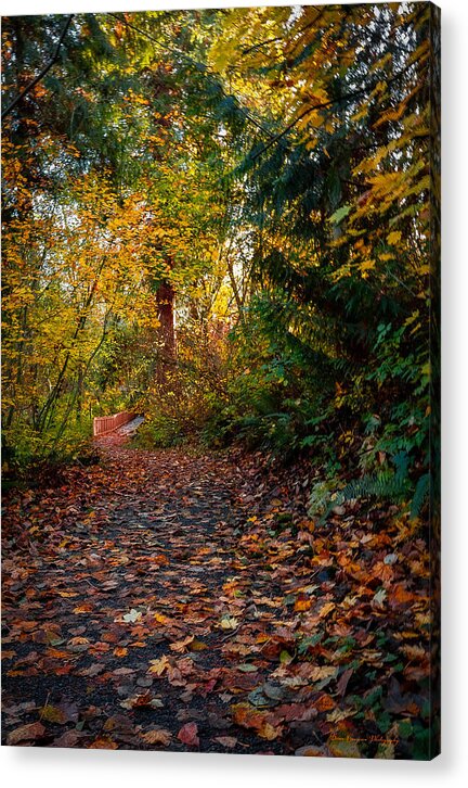 Walk in the park - Acrylic Print