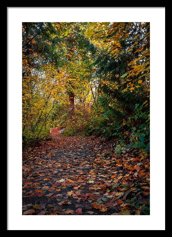 Walk in the park - Framed Print