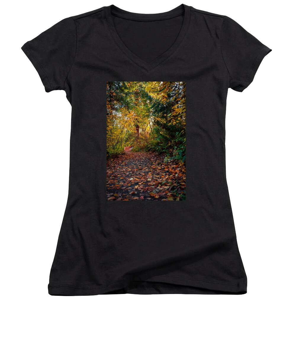 Walk in the park - Women's V-Neck