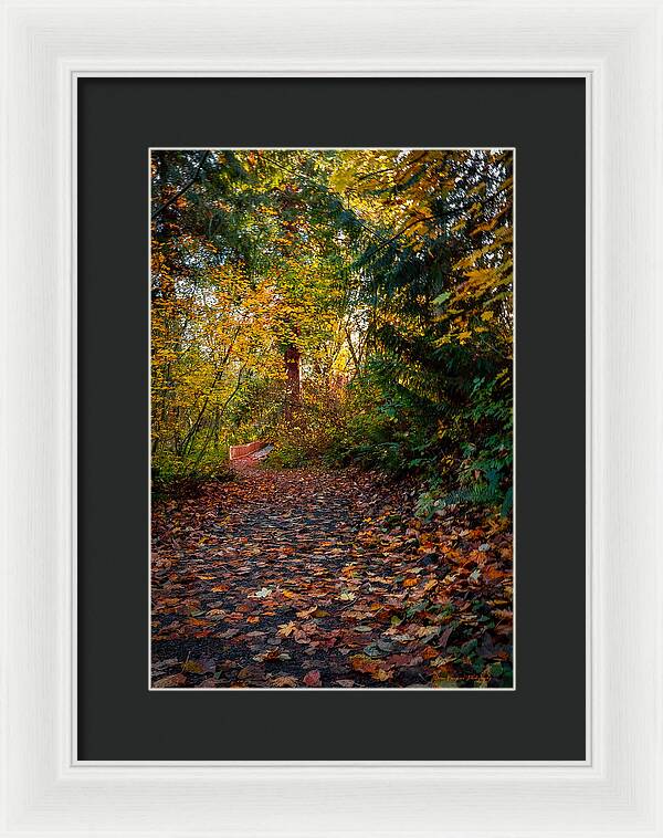 Walk in the park - Framed Print