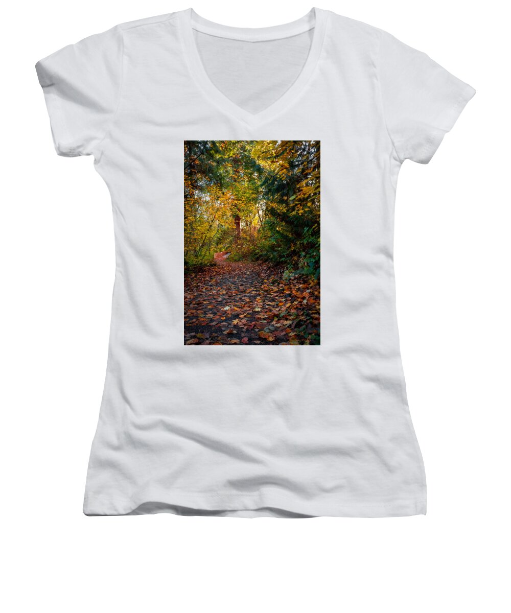 Walk in the park - Women's V-Neck