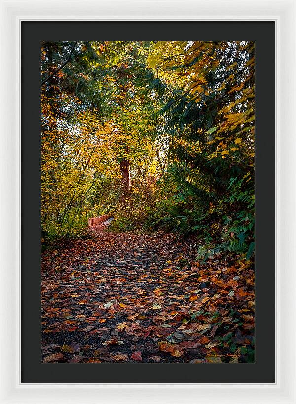 Walk in the park - Framed Print