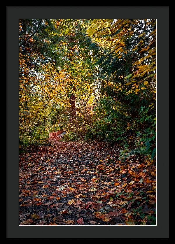 Walk in the park - Framed Print