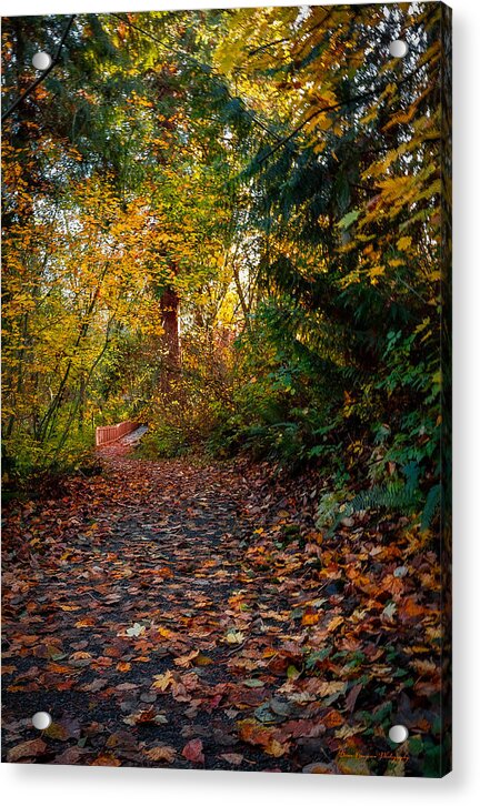 Walk in the park - Acrylic Print