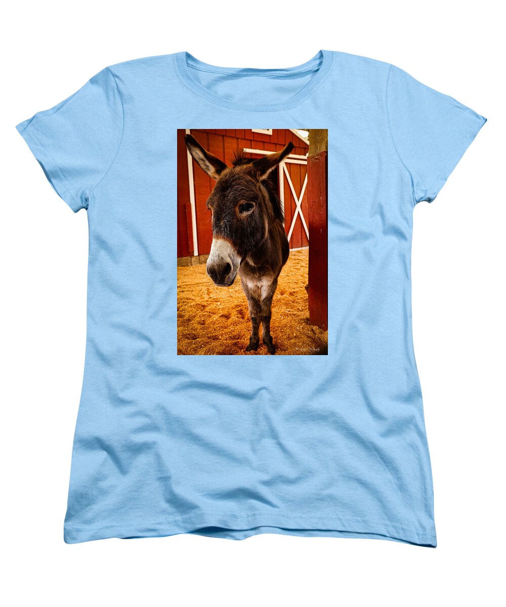 Who are you looking at - Women's T-Shirt (Standard Fit)