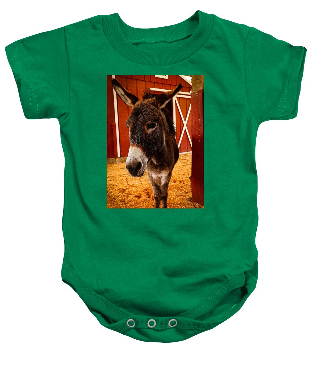 Who are you looking at - Baby Onesie