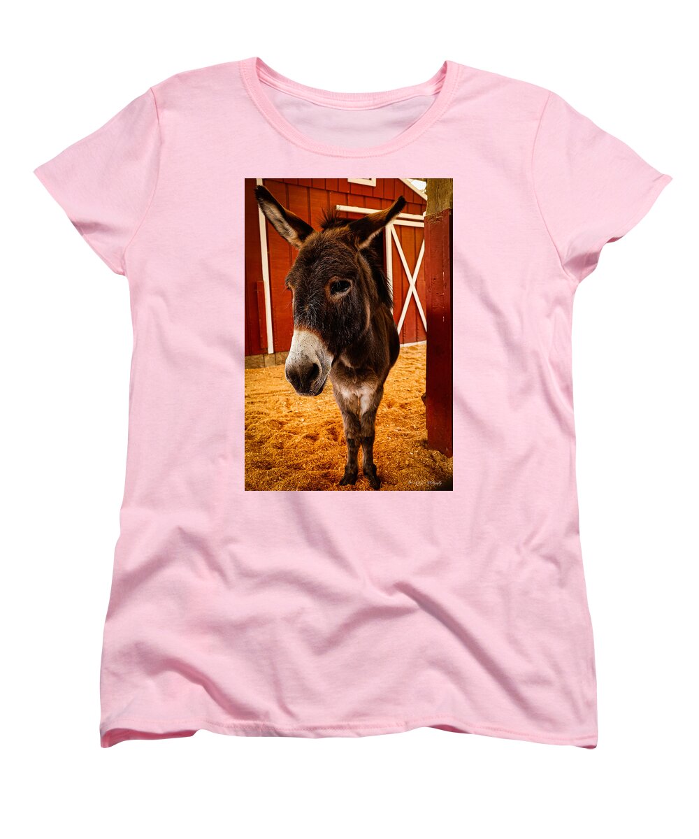 Who are you looking at - Women's T-Shirt (Standard Fit)