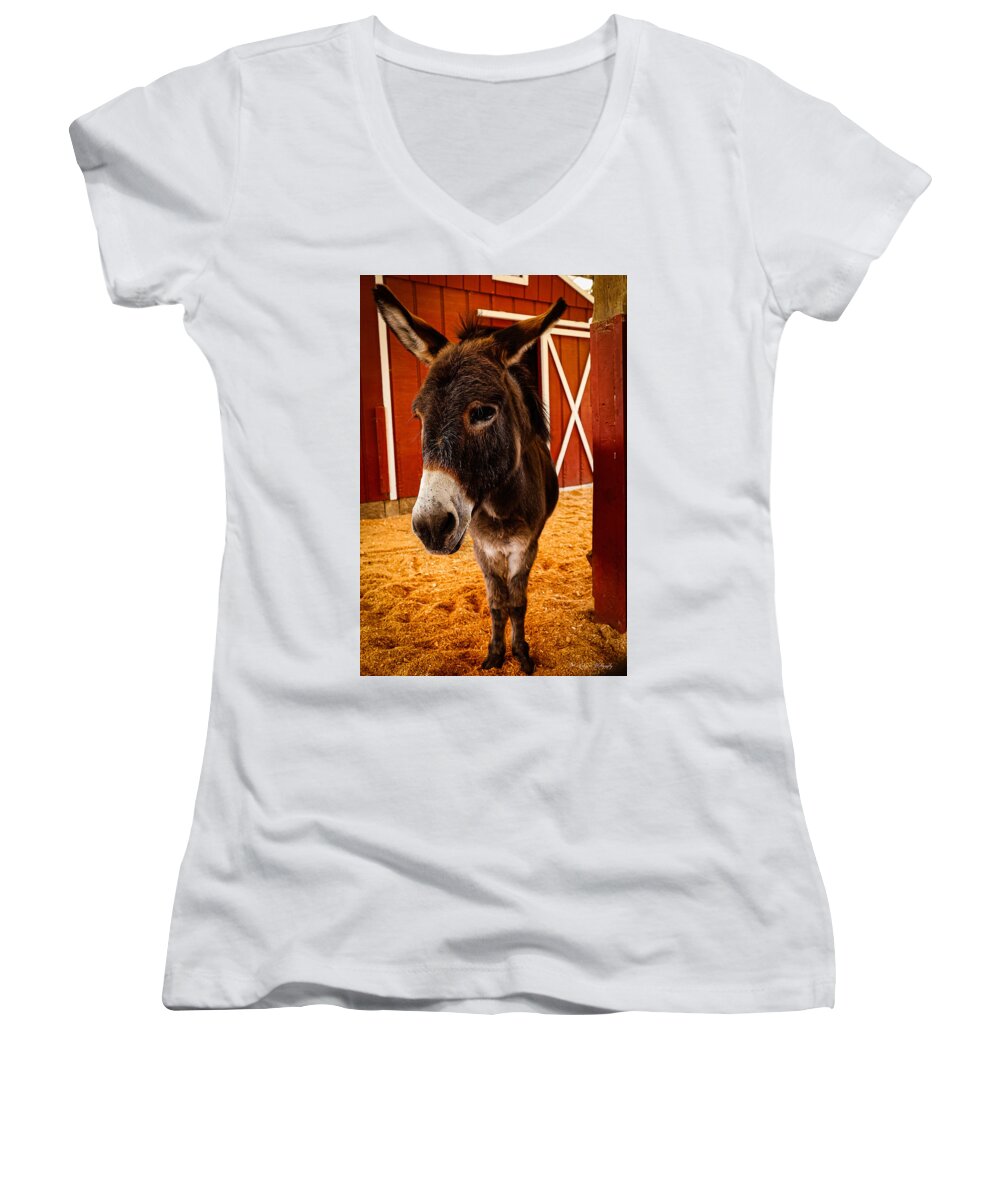Who are you looking at - Women's V-Neck