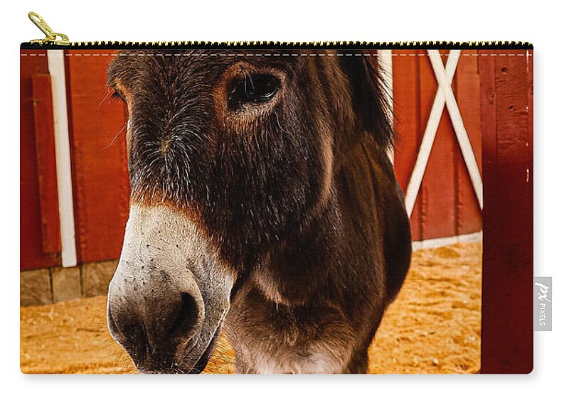 Who are you looking at - Zip Pouch