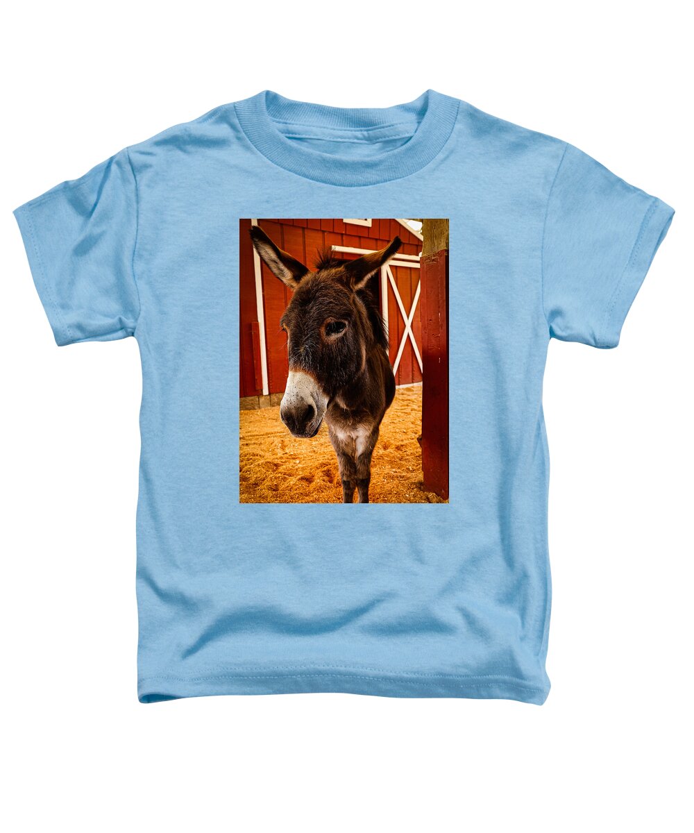 Who are you looking at - Toddler T-Shirt
