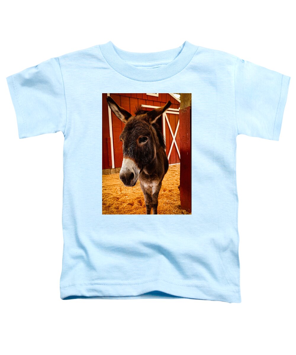 Who are you looking at - Toddler T-Shirt