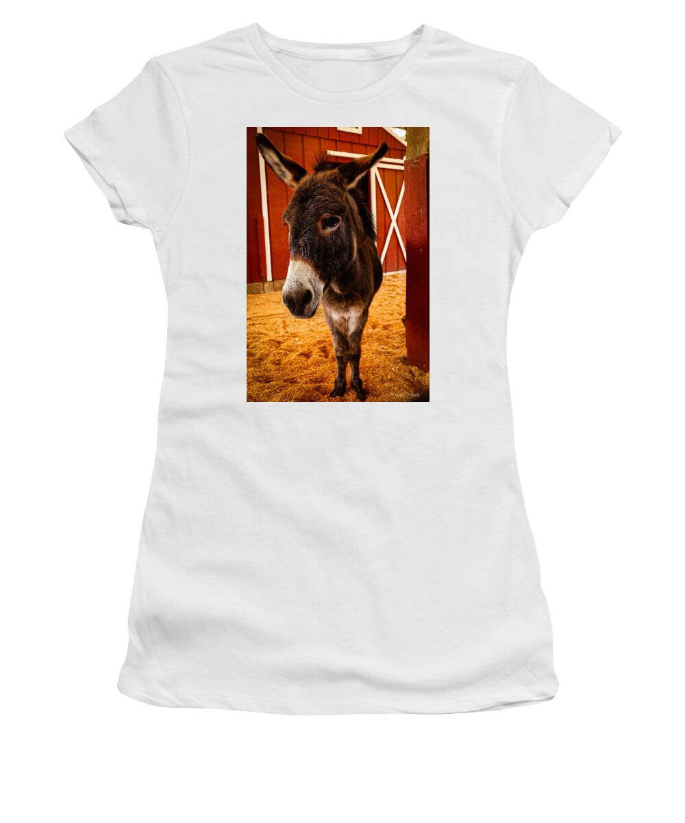 Who are you looking at - Women's T-Shirt