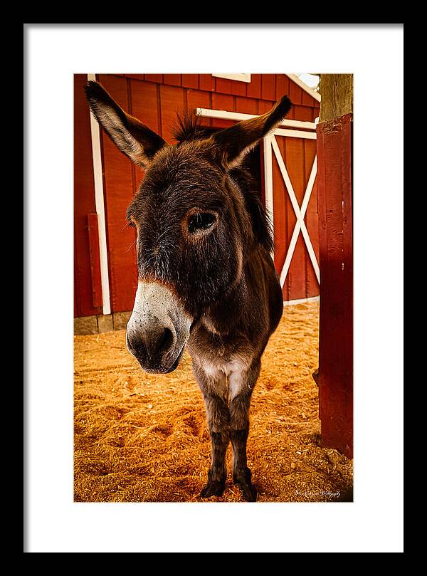 Who are you looking at - Framed Print