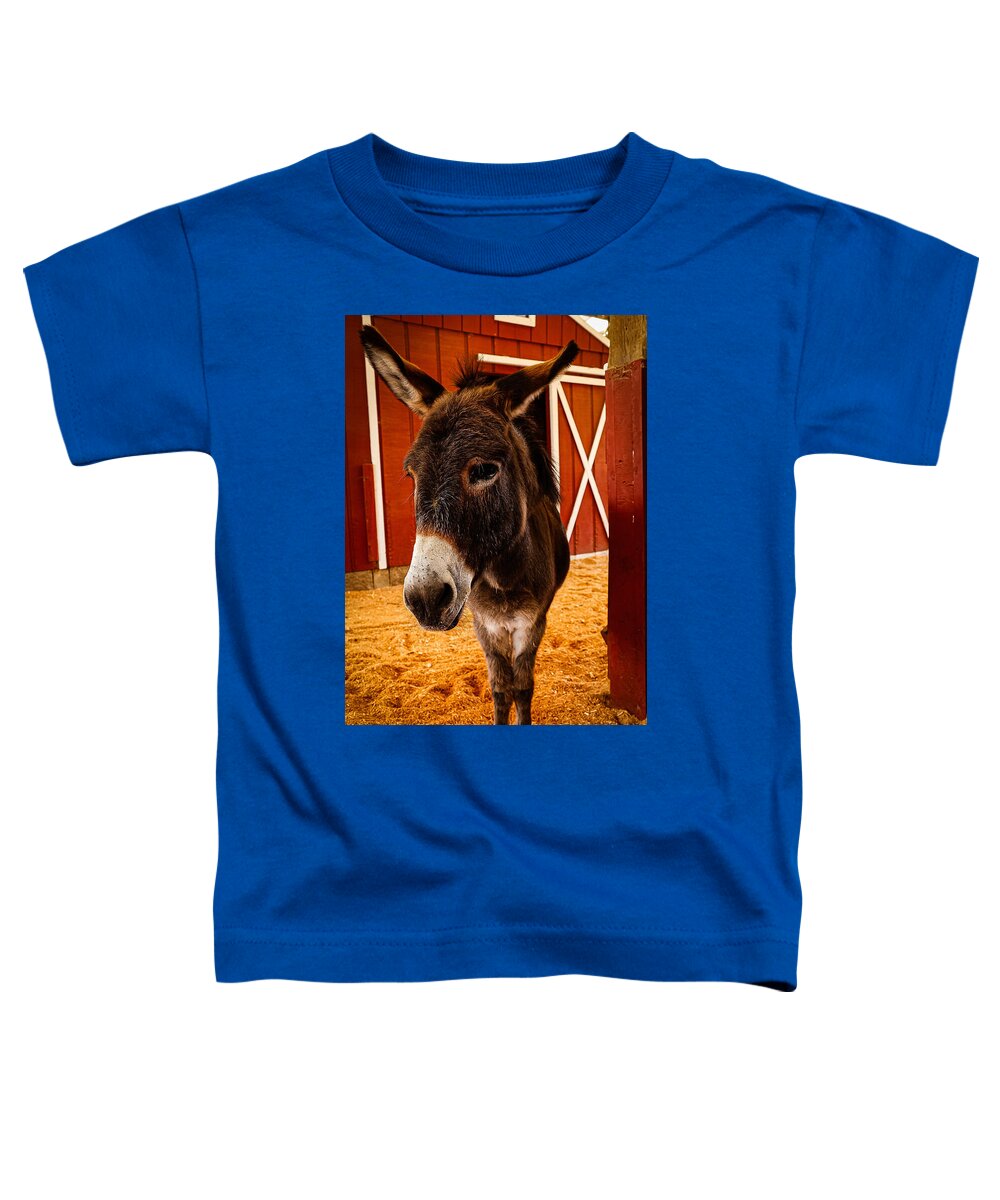 Who are you looking at - Toddler T-Shirt