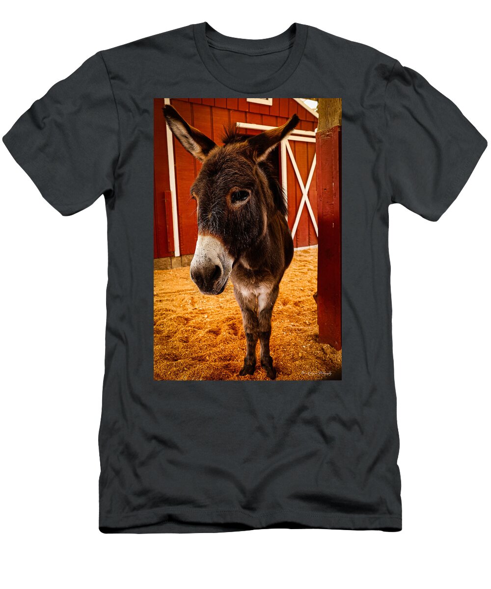 Who are you looking at - T-Shirt