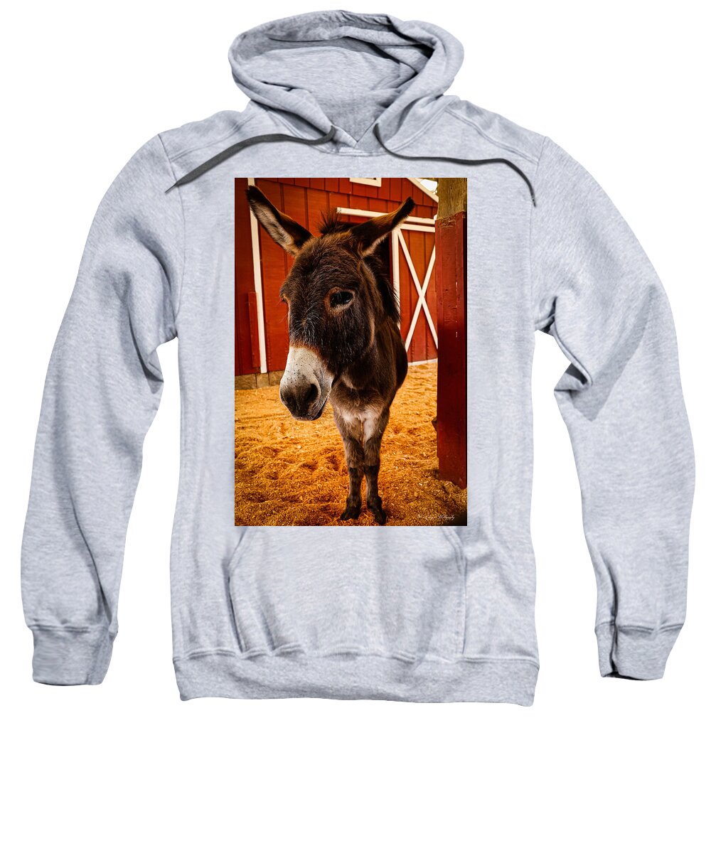 Who are you looking at - Sweatshirt