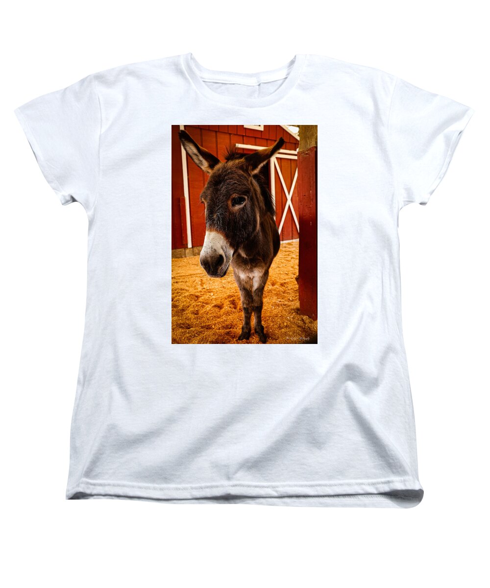 Who are you looking at - Women's T-Shirt (Standard Fit)