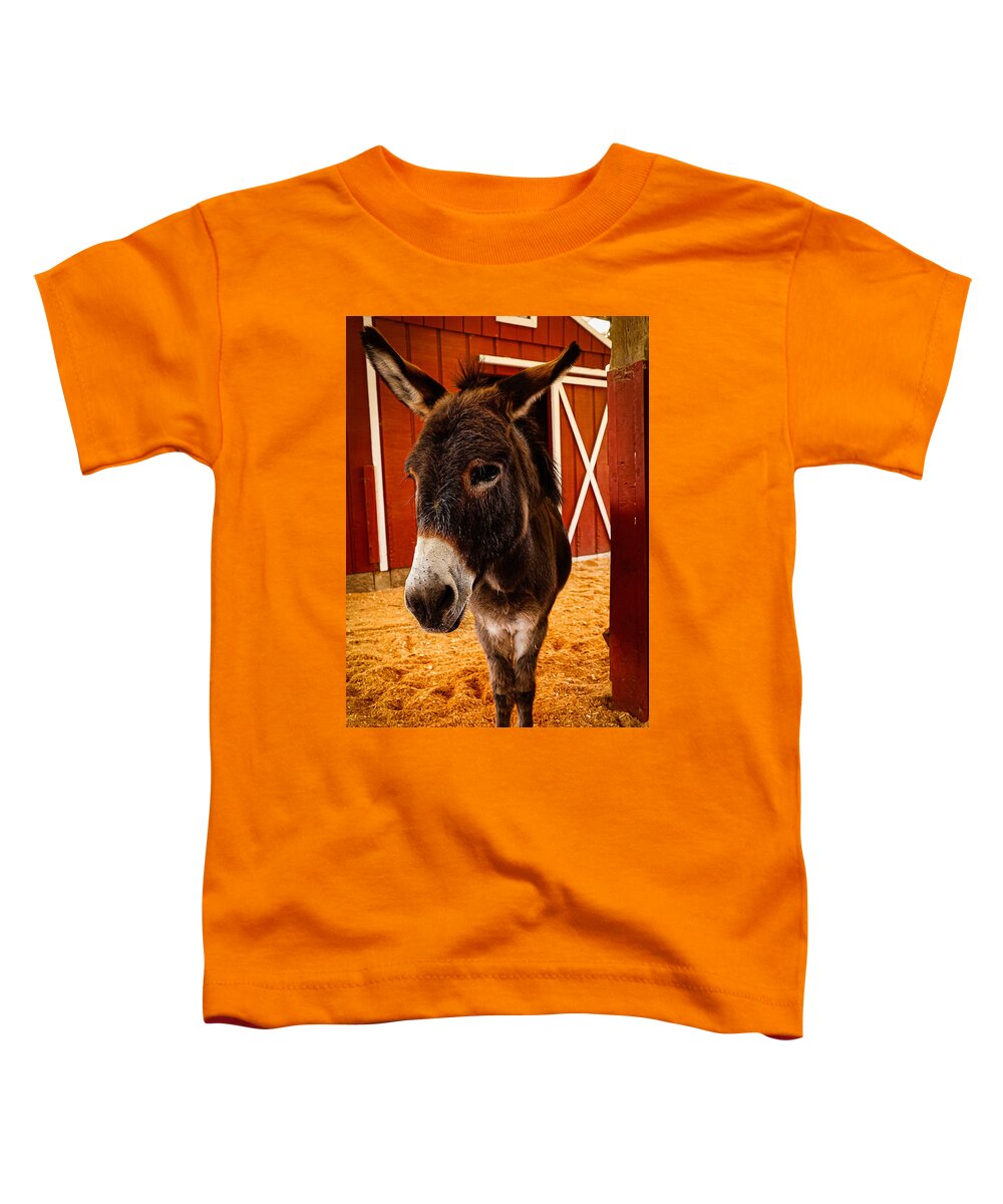 Who are you looking at - Toddler T-Shirt