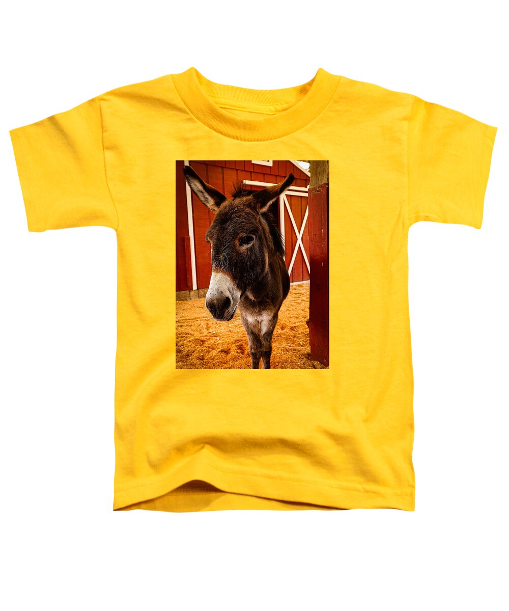 Who are you looking at - Toddler T-Shirt