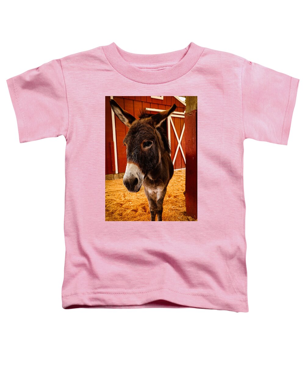 Who are you looking at - Toddler T-Shirt