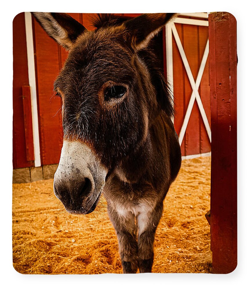Who are you looking at - Blanket