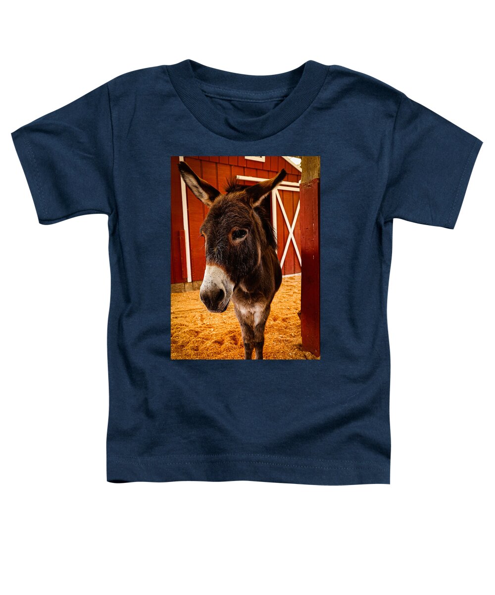 Who are you looking at - Toddler T-Shirt