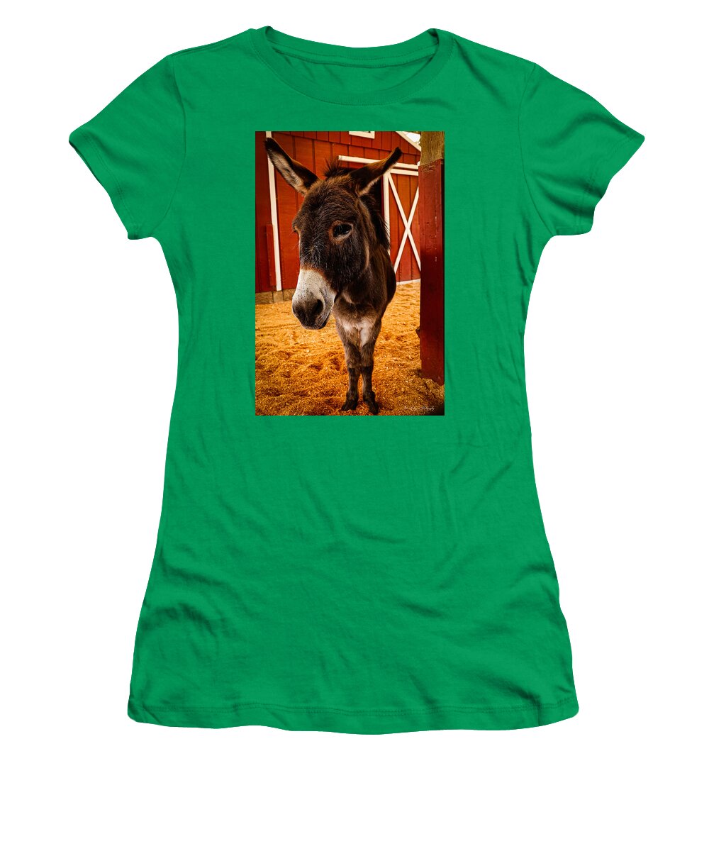 Who are you looking at - Women's T-Shirt