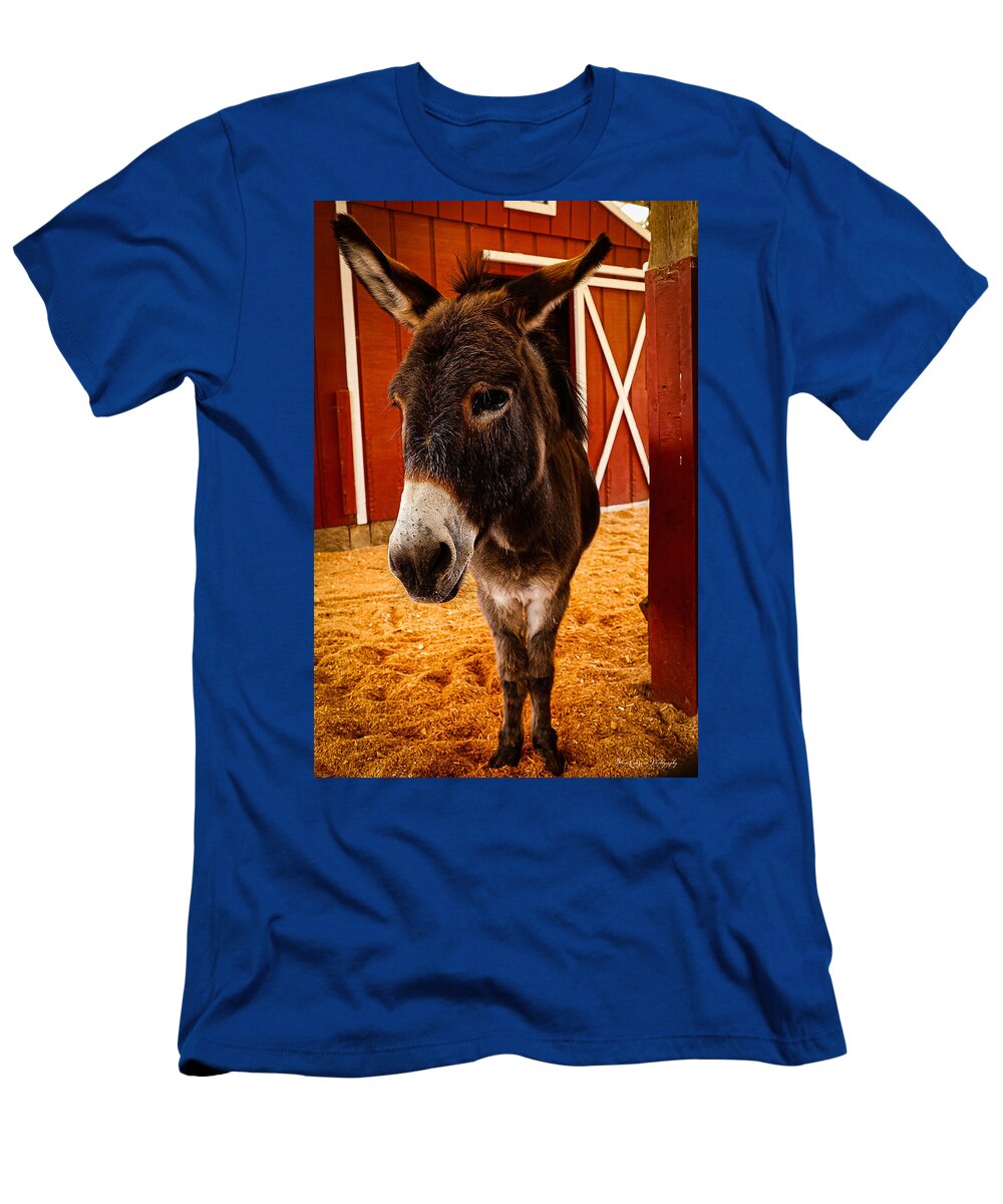 Who are you looking at - T-Shirt