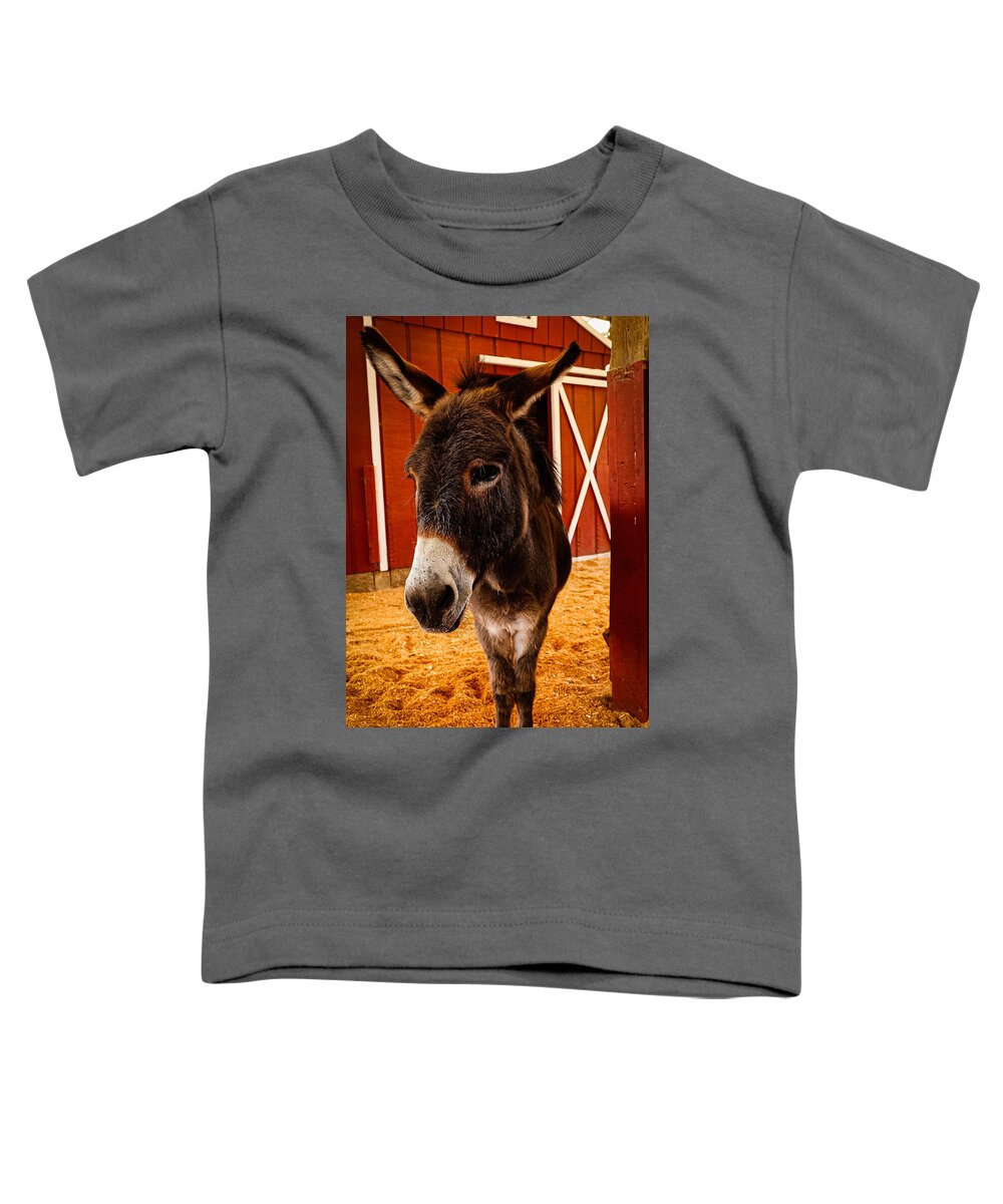 Who are you looking at - Toddler T-Shirt