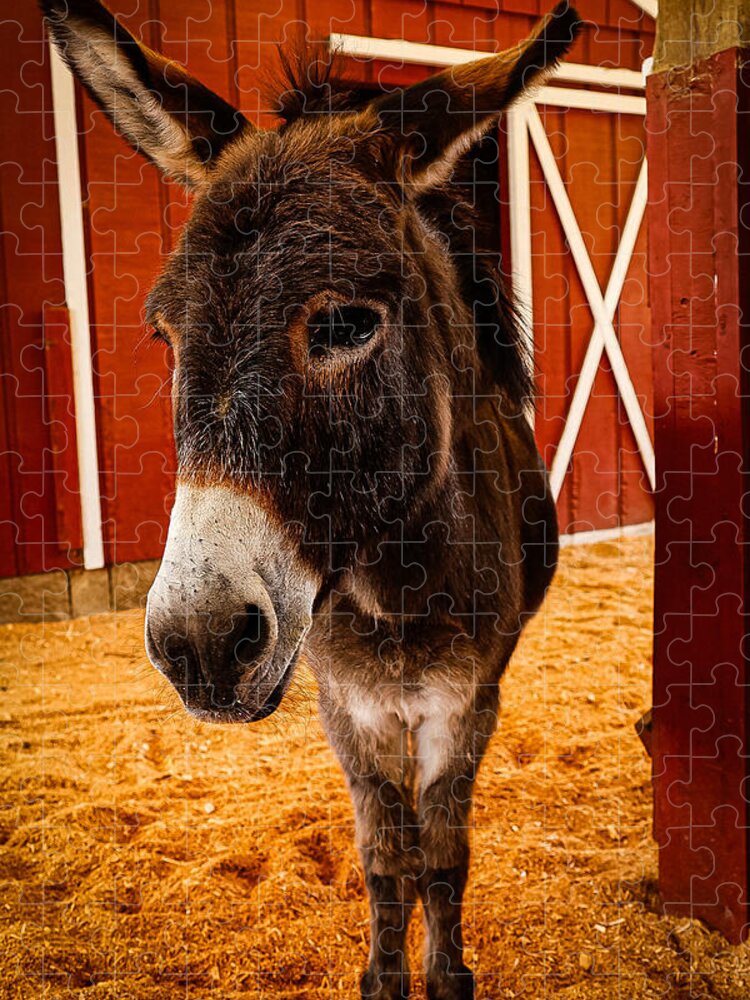 Who are you looking at - Puzzle