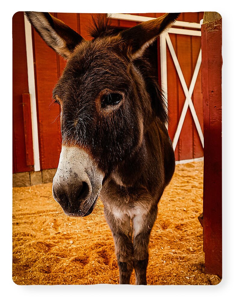 Who are you looking at - Blanket