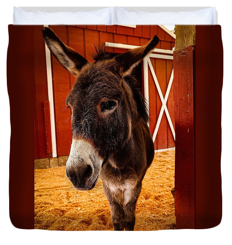 Who are you looking at - Duvet Cover