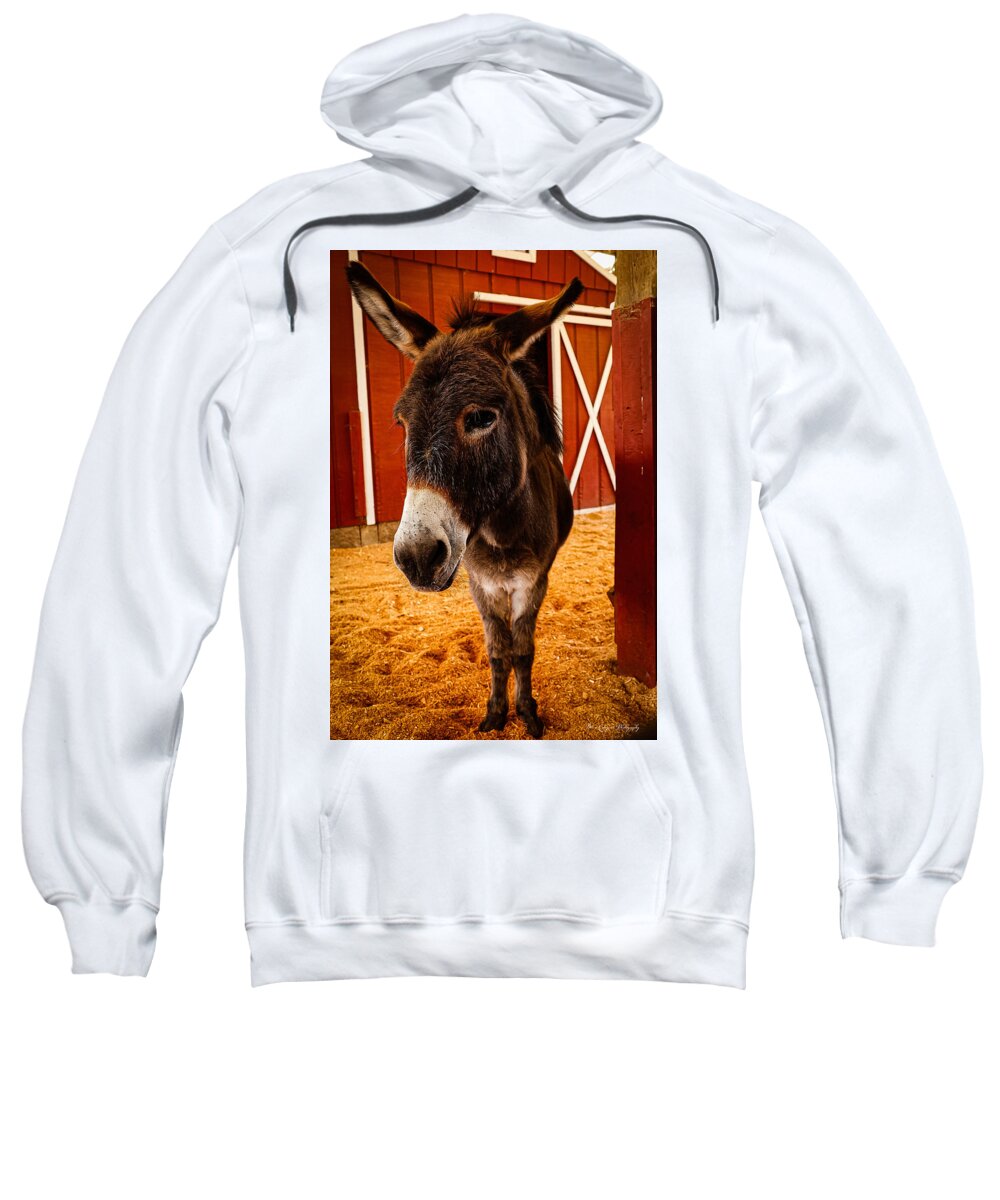 Who are you looking at - Sweatshirt