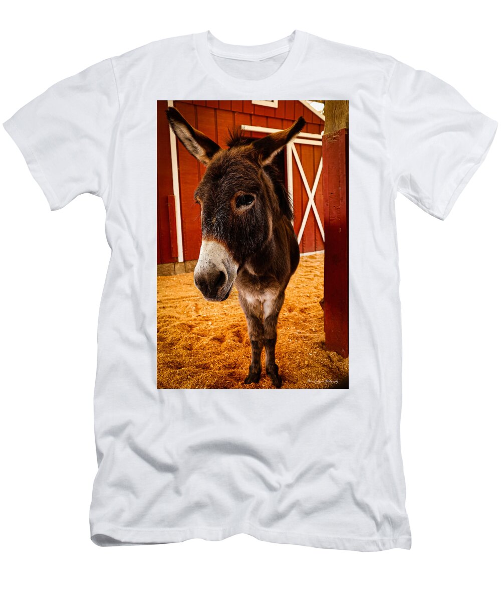 Who are you looking at - T-Shirt