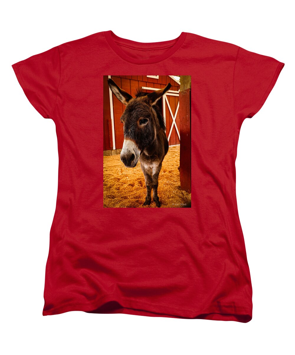 Who are you looking at - Women's T-Shirt (Standard Fit)