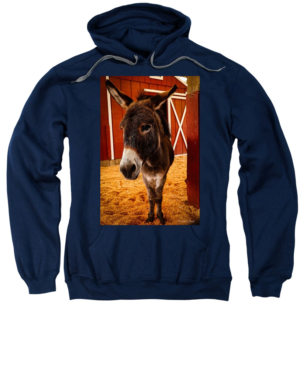 Who are you looking at - Sweatshirt