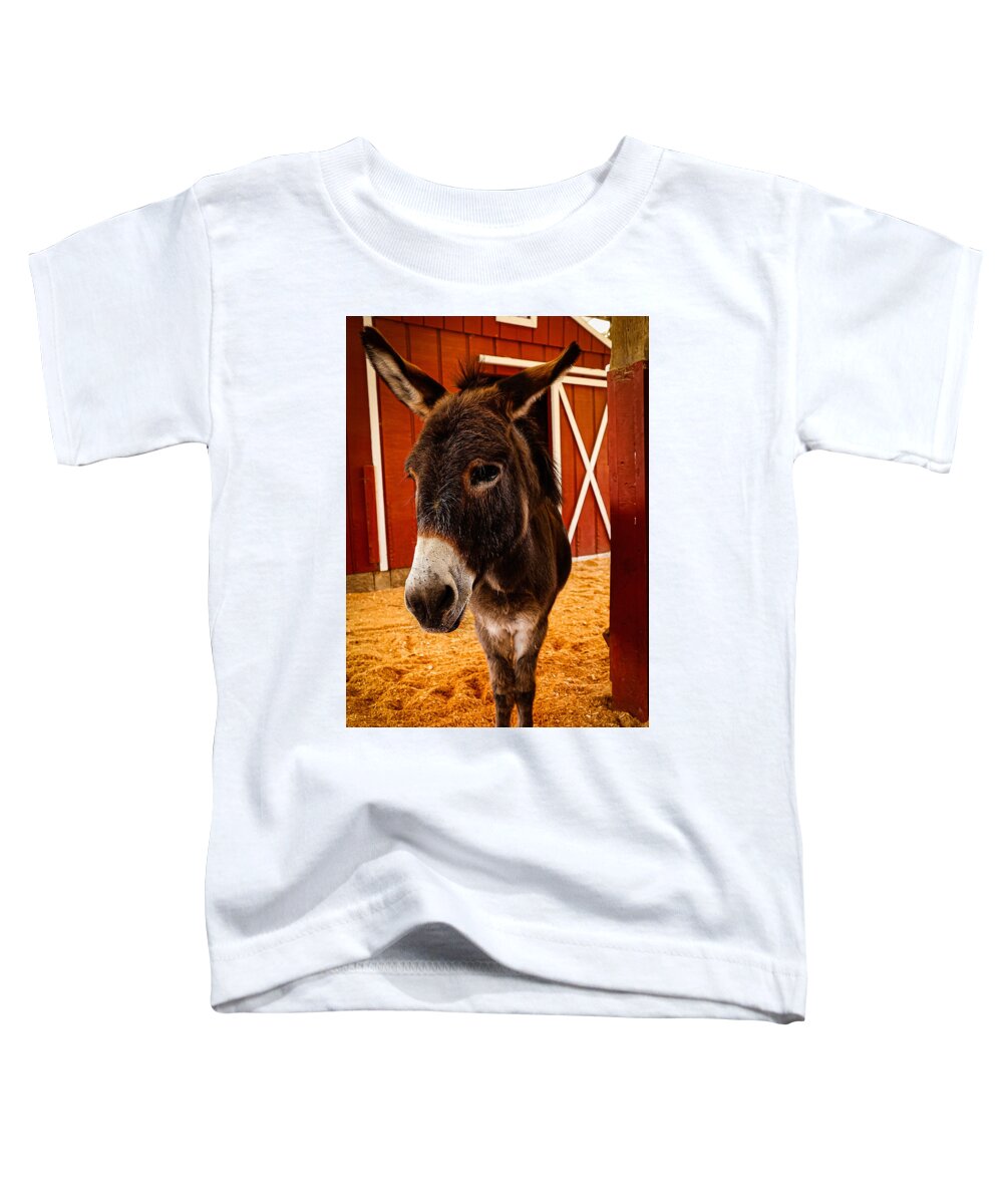 Who are you looking at - Toddler T-Shirt