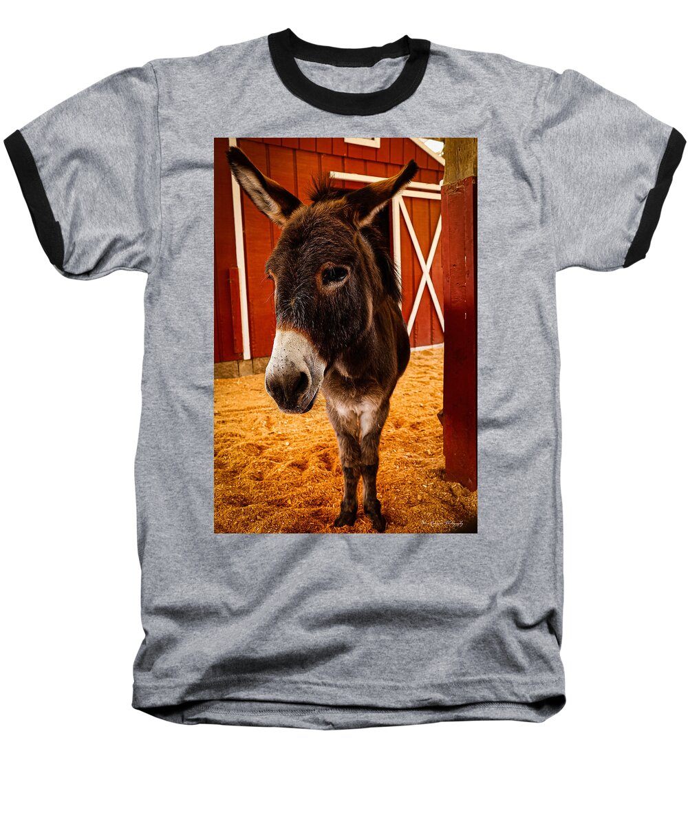 Who are you looking at - Baseball T-Shirt