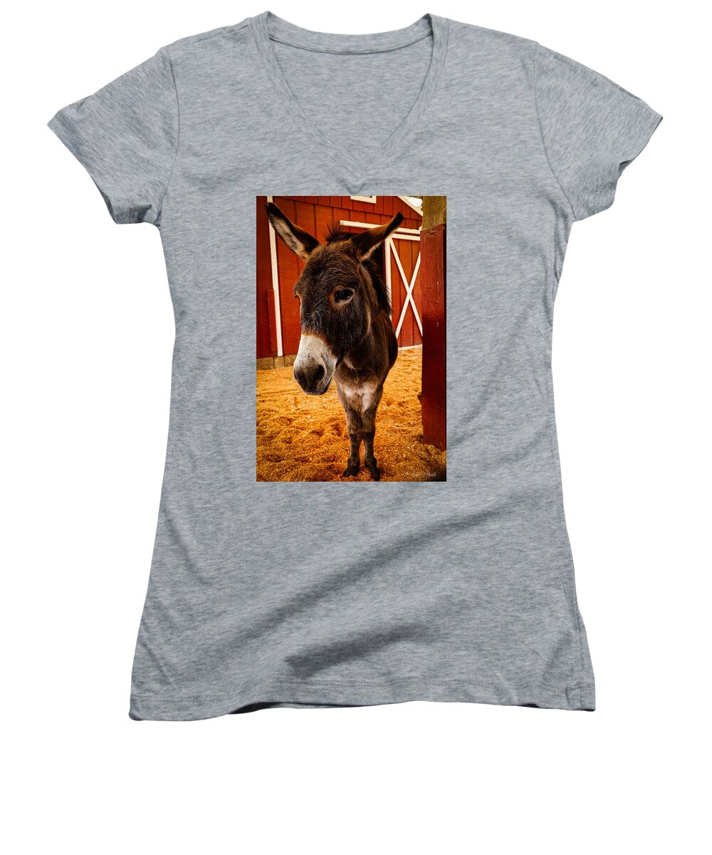 Who are you looking at - Women's V-Neck