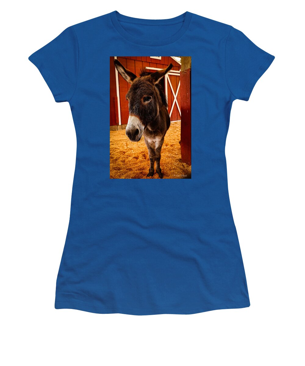Who are you looking at - Women's T-Shirt