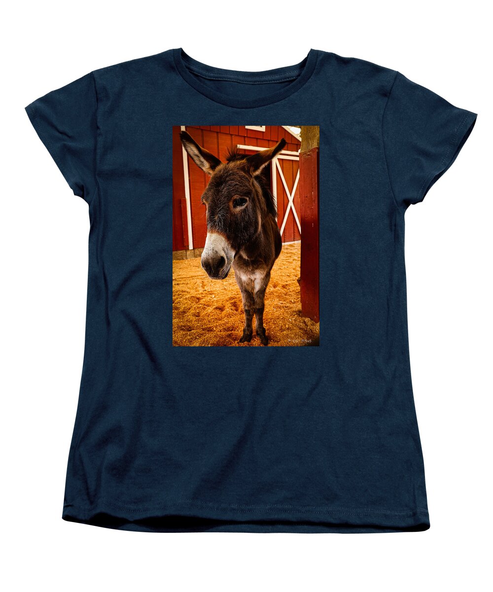 Who are you looking at - Women's T-Shirt (Standard Fit)