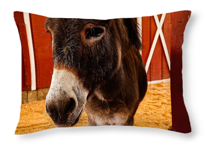 Who are you looking at - Throw Pillow