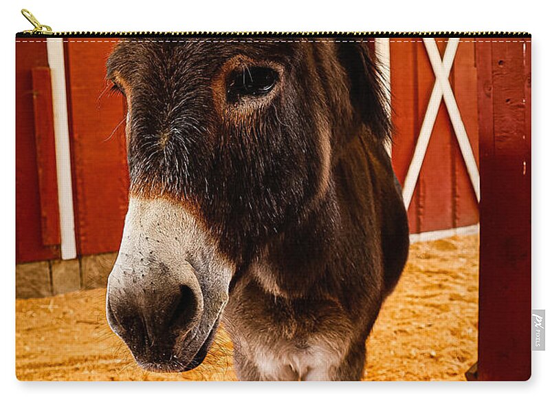 Who are you looking at - Zip Pouch