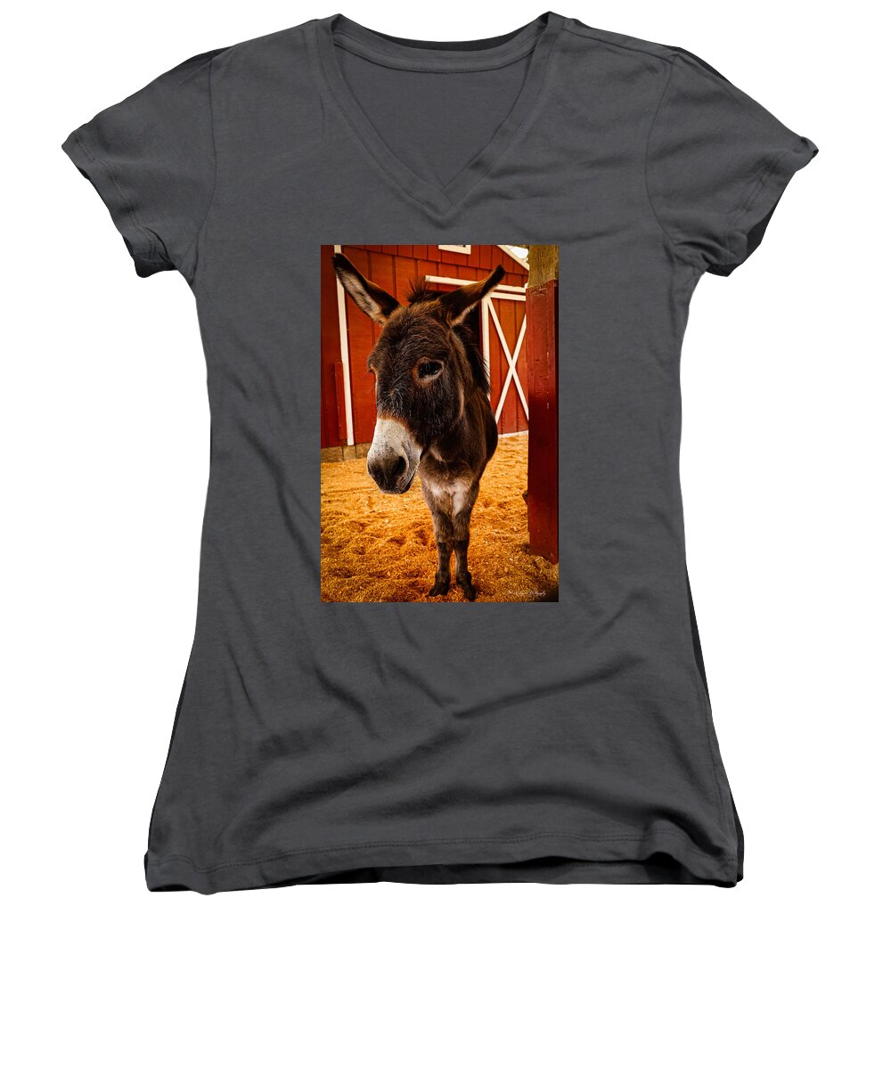 Who are you looking at - Women's V-Neck