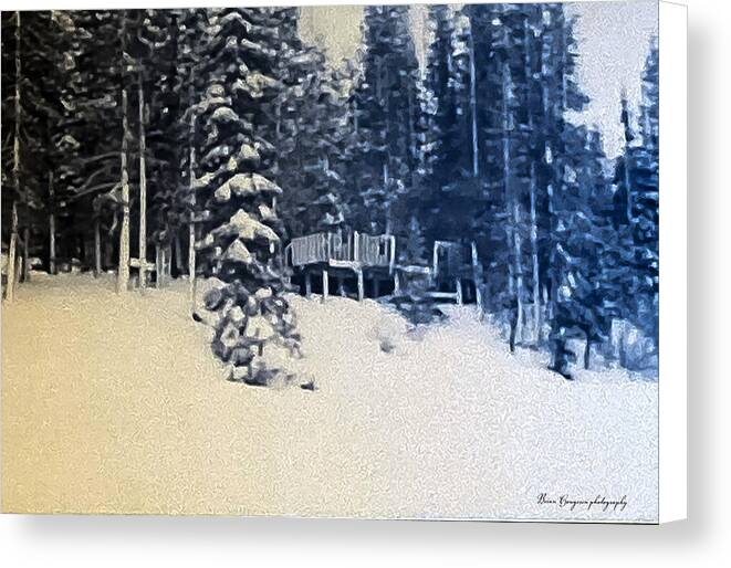 Winter - Canvas Print